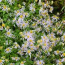 산정농원 이미지