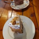 애기 강아지 반려견전문샵 이미지