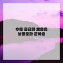 수피부샵 - 창원시 성산구 동산로 162 | 수피부샵