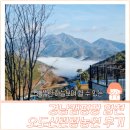 오도산 관광농원 이미지