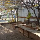 스피드메이트 치악점 이미지