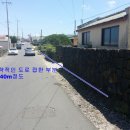 금능리[남] 네이버블로그