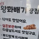 명품구제여행 | [공지] [당일치기 여행] 호우주의보에 떠난 보령·서산 패키지여행! 간월도 대천해수욕장 죽도상화원 후기