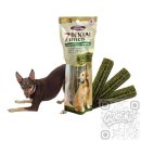 제이덴탈 이미지