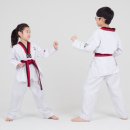 태비태권도 이미지