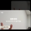 부산메이트 | 오랜만에 다녀온 부산 여행 후기 (3박 4일 👀)