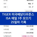 다우마켓 | TIGER 미국배당다우존스 ISA 매일 1주 모으기 25일차 기록