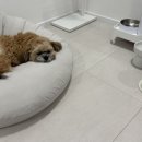 디딤동물병원 이미지