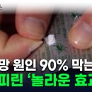 진통·해열 넘어 암에도 놀라운 효과...아스피린의 재발견 [지금이뉴스] 이미지