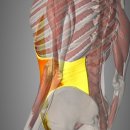 리얼타임피트니스 이미지