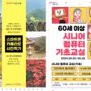 컴퓨터기초&스마트폰활용 이미지