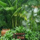 백용농장 이미지