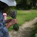 상관농장 이미지