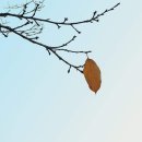 낭송의 즐거움 이미지