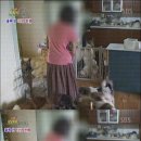 사람과 애견 이미지