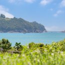 남해 36.5 이미지