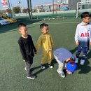 삼봉태권도 이미지