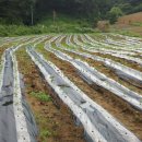 덕우농장 이미지