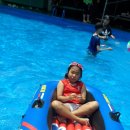 홍산관광농원 이미지