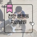 김태희헤어 - 익산시 동천로7길 70 | 천안아이와가볼만한곳 쌍용동 지상냥원 고양이카페 키즈카페 냥집사의 후기