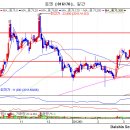 로엔(016170) 종목진단 (성투사 주식분석) 이미지