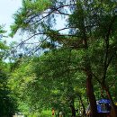 선바위민박 이미지