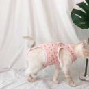 디오빌 동물병원 이미지