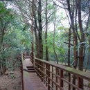 상효동-5 이미지