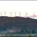 다짐 행정사 이미지