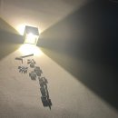 장등을 밝히다 이미지