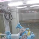 뽑아봅세 이미지