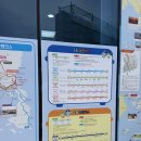 여수여행 야경투어 코스 낭만버스 예약방법 솔직후기 바다닭강정 포장