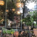 아그레아블 | [강남역/신분당선] 다채로운 플라워카페 아그레아블(Agreable) 후기