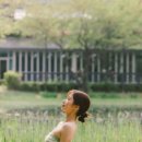 요가스테