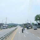 일산 올리브 운전면허 합격 꿀팁 (쉬운코스 뽑는 방법, 불합격 재시험 후기)