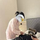 유정스윗헤어 | [뮌헨] 구튼 몰겐 1일차 - 베트남 항공 후기, 뮌헨 듀나 맛집, 독일 회사 분위기, 옥토버페스트 꿀팁