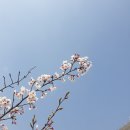 정앤진 | 나주 빛가람동 정앤진 헤어 후기