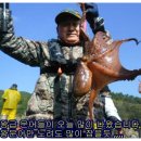 (15년 11/24일)여수 갑오징어,문어 조행후기입니다~~^^ 이미지
