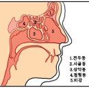 김인상한의원 네이버블로그