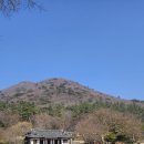 진도 운림산방 | 전남 진도명소 사계절 즐기기좋은 운림산방 다녀온 후기!