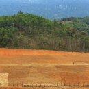 옥천군보건소 | 거동 힘드신 부모님 계시다면 대전 동구 요양원 추천 옥천향수요양원 / 현명한 노후 선택