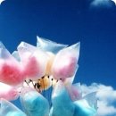 달콤한 솜사탕 - 문경시 | 달콤한 솜사탕