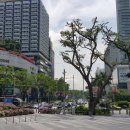 테라메드 | 5박6일 싱가포르 여행 (2) - 오차드 로드 쇼핑(feat. 빅토리아 시크릿, 세포라 등등)