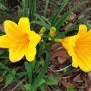 행정사사무소 재수 이미지