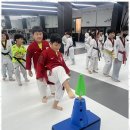 덕진태권도장 | 전주혁신도시태권도 우리 아이 태권도장 체험기: 유아부터 초등까지 특별한 성장