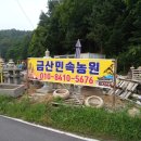 금산유치원 이미지