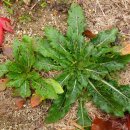 여주온천 이미지