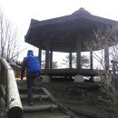 통로골 이미지
