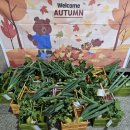 별하농장 이미지