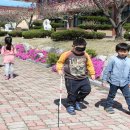 관기초등학교 이미지